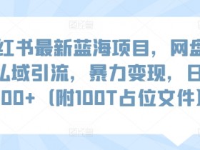 如何总结小红书运营项目，数据分析与成果提炼的技巧
