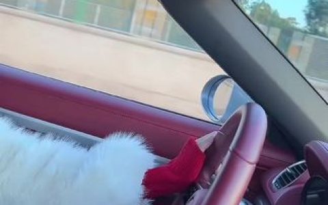 小艾baby巴拉豆是什么?主播与粉丝的互动话题