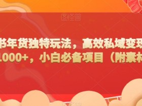 小红书引流技巧详解，掌握这些方法实现流量裂变