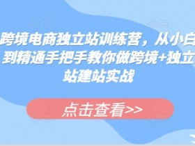 迪拜跨境电商新机会如何利用，2025年迪拜电商新机遇解析