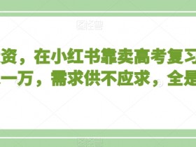 小红书短时间内如何快速引流，流量爆发的高效方案解析