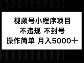 视频号无人直播蓝海市场拆解，中老年用户如何成为高消费人群？