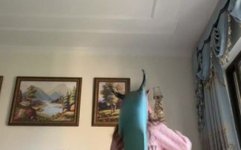 VC马的微博大揭秘,网红VC背后的故事