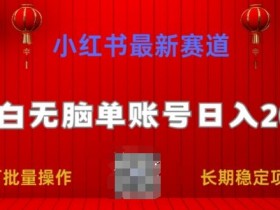 小红书掘金项目合法吗，揭秘冷门赛道收益的法律风险