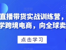 迪拜跨境电商营销推广如何吸引流量，吸引更多流量到迪拜电商平台