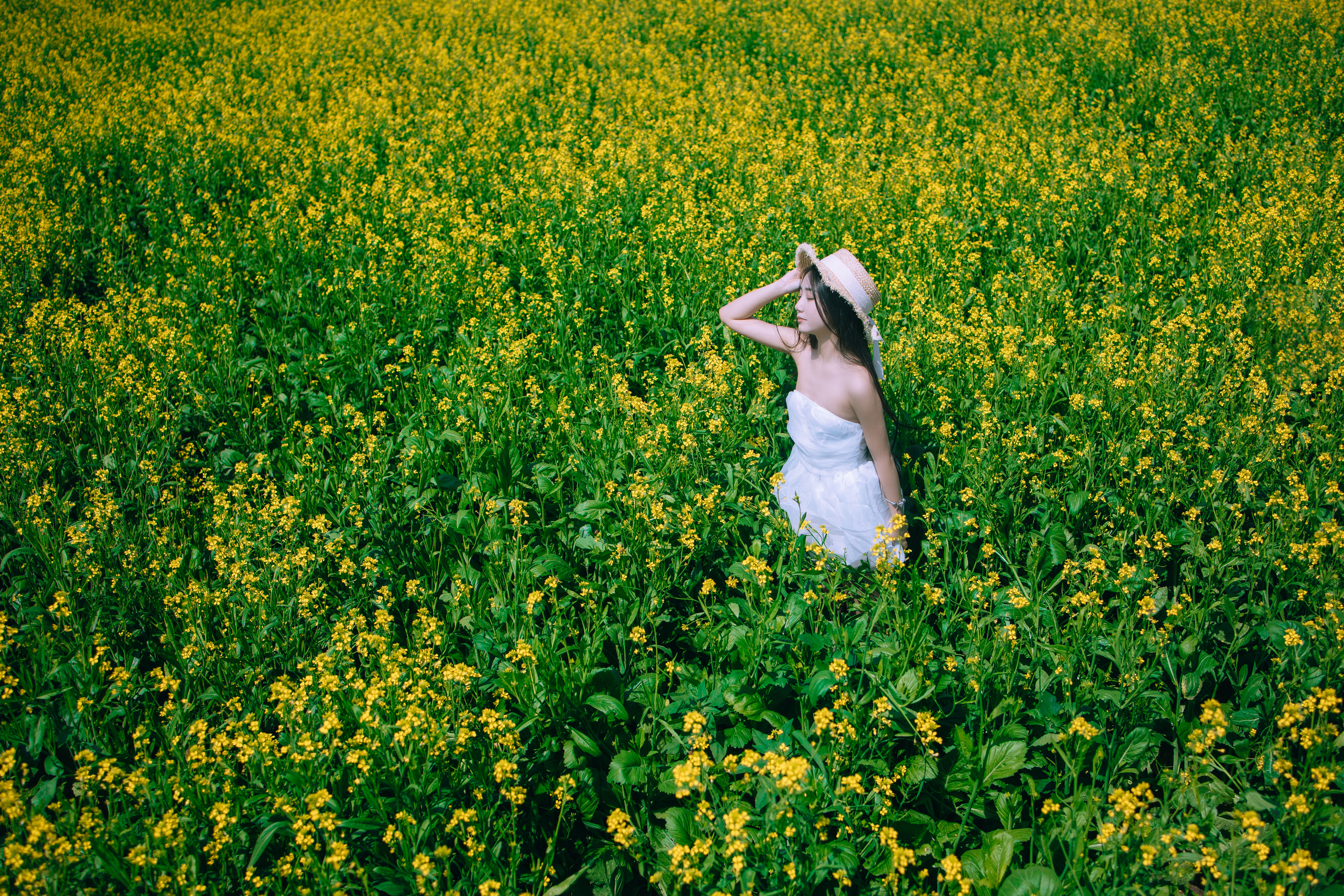 少女油菜花写真 花 美少女 小清新 青春