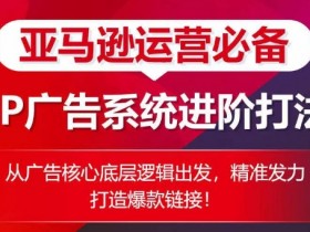 亚马逊新手运营经验分享，少走弯路的核心技巧
