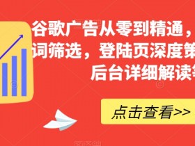 谷歌搜索广告的投放策略是什么，深入分析谷歌搜索广告的成功投放策略