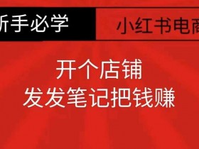 如何用小红书做高效引流，从发布到转化的完整流程