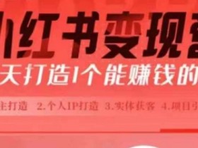 如何用小红书图文矩阵赚钱，批量发布引流日增流量300+