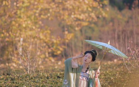 v唱小游v《苏幕遮》 – YiTuYu艺图语