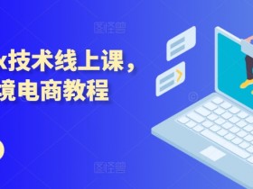 迪拜跨境电商资金管理如何规划，规划迪拜跨境电商项目的资金管理