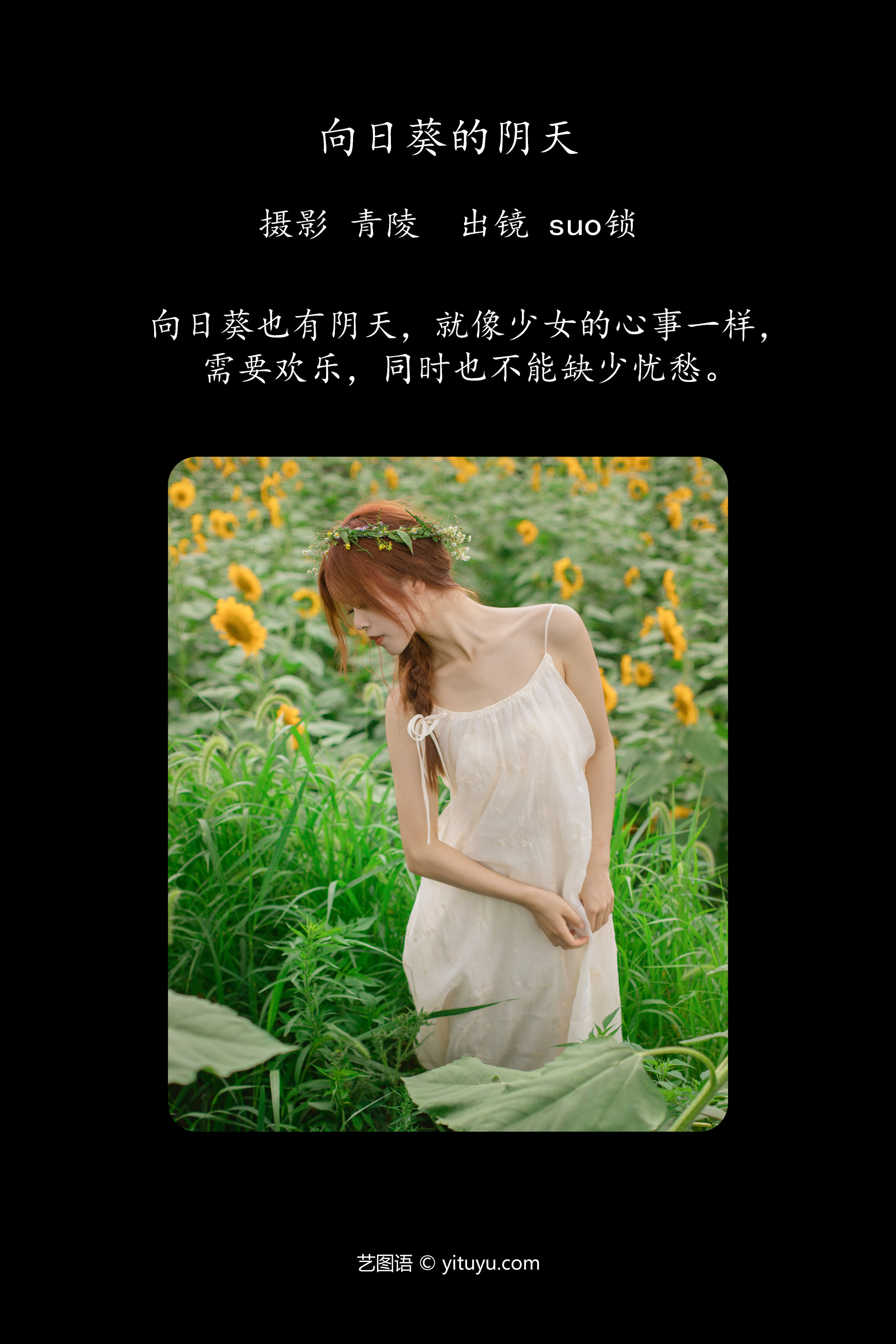 向日葵的阴天 