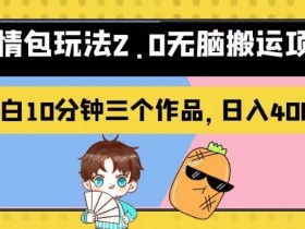 表情包项目如何通过数据分析提升收益，精准优化的运营技巧