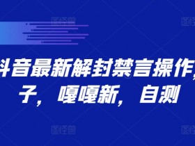 抖音带货蓝海项目揭秘，抓住2025年的流量红利
