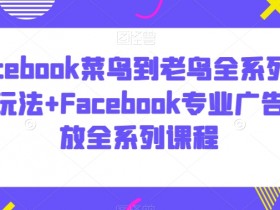 2025年最新Facebook流量获取技巧，玩转短视频与广告引流
