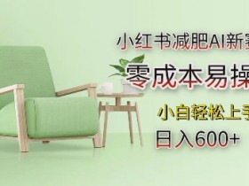 如何用小红书做高效引流，从发布到转化的完整流程