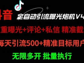抖音带货蓝海项目揭秘，抓住2025年的流量红利