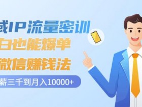 最新男粉私域变现玩法，如何利用最新玩法提升男粉私域变现效率