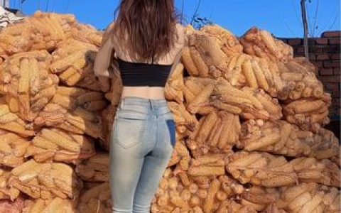 CCWord小果经典舞蹈合集,从早期到巅峰的精彩演绎