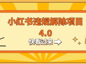 如何通过小红书带货赚钱，笔记推广与引流的双管齐下策略