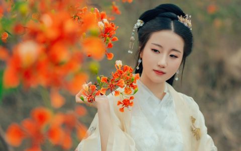 粥米饭《凤凰花开》 – YiTuYu艺图语