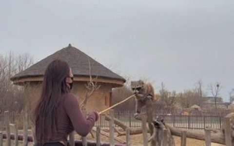 MIYA性感美腿写真，紧身窄裙尽显曲线