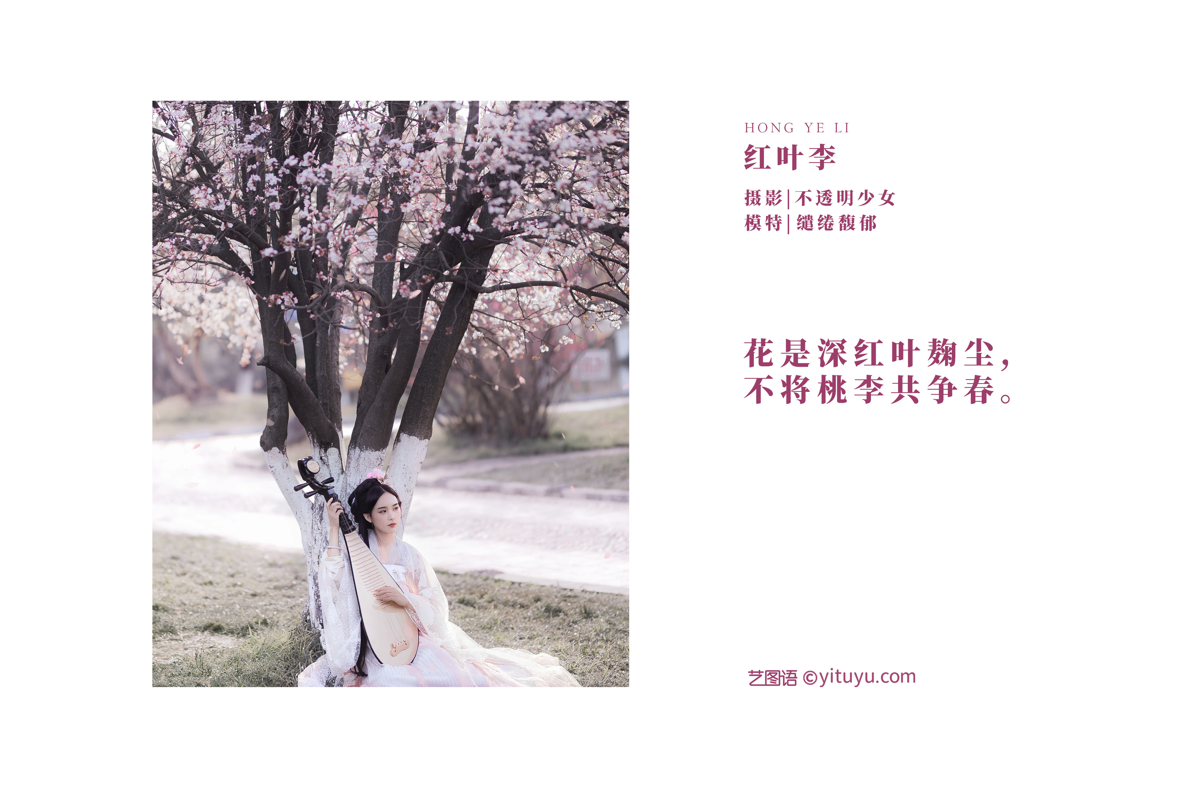 [YiTuYu艺图语] 缱绻馥郁-《红叶李》 好看的4K高清无水印纯欲妹子意境唯美写真完整版图集