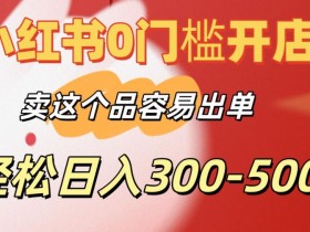 小红书代运营多少钱一个月，价格与服务范围的详细解析
