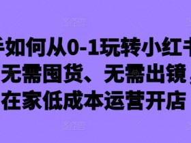 小红书旅游攻略怎么赚钱，虚拟资料冷门赛道高转化玩法