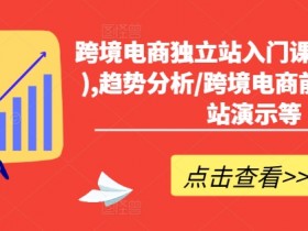 迪拜跨境电商新机会如何利用，2025年迪拜电商新机遇解析