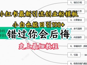 揭秘小红书掘金项目，日入四位数的蓝海赛道操作教程