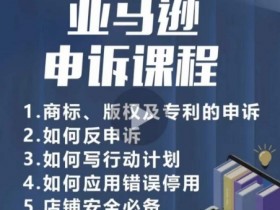 亚马逊成人用品类目如何精细化运营，从投放到转化的全攻略