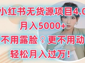 如何快速推广小红书短剧，从零到爆款的全程干货分享
