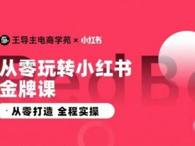 如何高效推广短剧，小红书蓝海赛道的操作秘诀揭秘