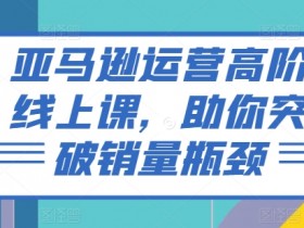 亚马逊新手运营经验分享，少走弯路的核心技巧