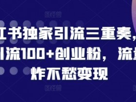如何用小红书图文矩阵赚钱，批量发布引流日增流量300+
