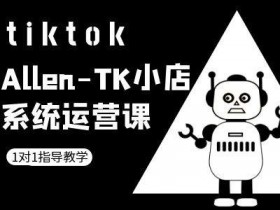 迪拜跨境电商资金管理如何规划，规划迪拜跨境电商项目的资金管理