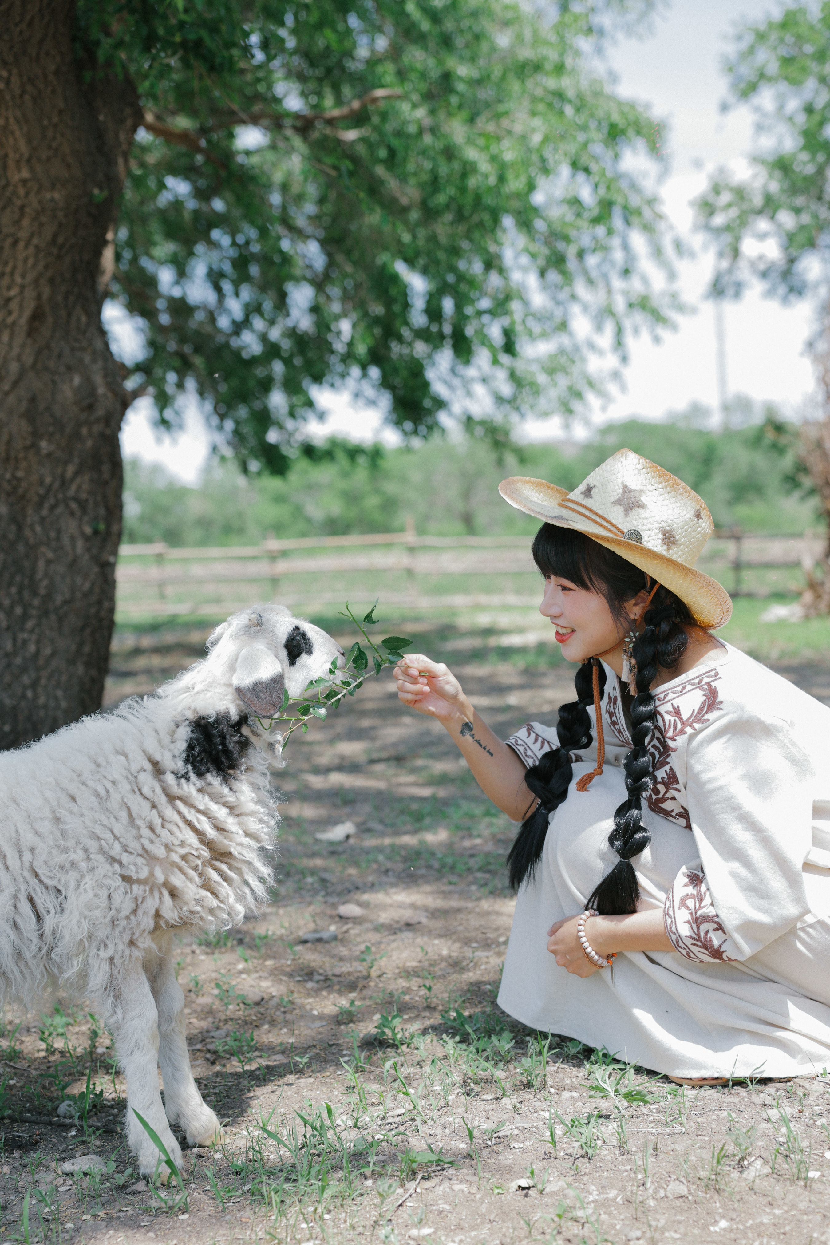 草原的夏日 妹子 可爱 写真集 夏天 姑娘