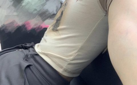 蒹葭苍苍微密圈图片视频合集,最新资源下载指南