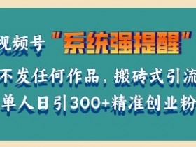 视频号蓝海风口项目揭秘，新手如何轻松操作日入500+