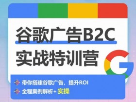 谷歌搜索广告的投放策略是什么，深入分析谷歌搜索广告的成功投放策略