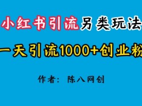 小红书掘金虚拟资料玩法，日引流300+的全新变现模式