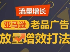 亚马逊品牌店铺的运营技巧，打造品牌力的必备策略