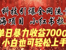 小红书运营的玩法和规则是什么，搞明白这3点随便爆笔记