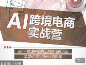 迪拜跨境电商资金管理如何规划，规划迪拜跨境电商项目的资金管理