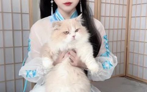 不呆猫(不槑猫)《红毛衣 X 知性姐姐》优美姿态呈现在镜头前!