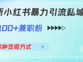 小红书掘金项目合法吗，揭秘冷门赛道收益的法律风险