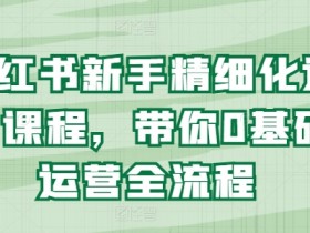 小红书掘金蓝海项目怎么玩，虚拟资料与流量引爆的秘密