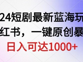 小红书运营项目描述怎么写，提升项目通过率的关键技巧